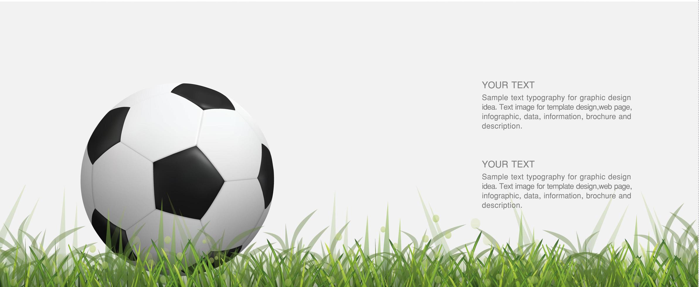 Soccer or football on green grass field vector