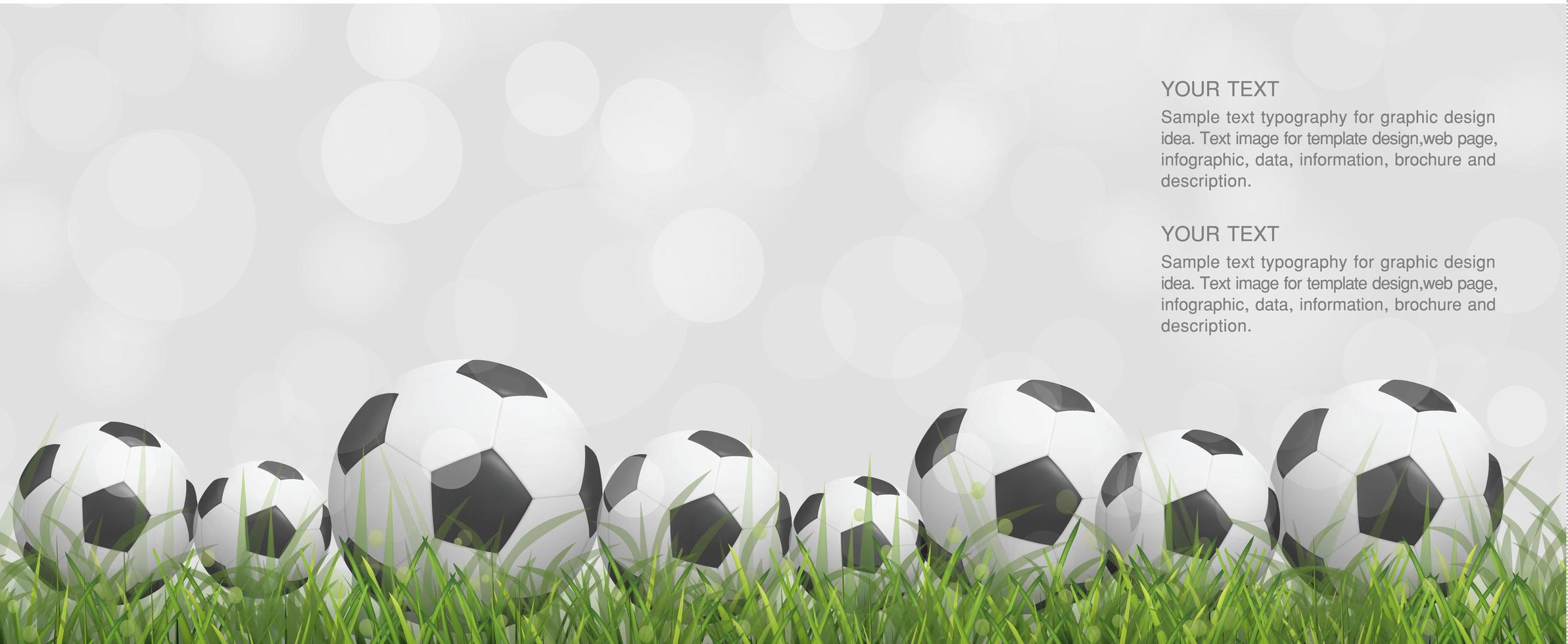 Multiple soccer or footballs in grass  vector