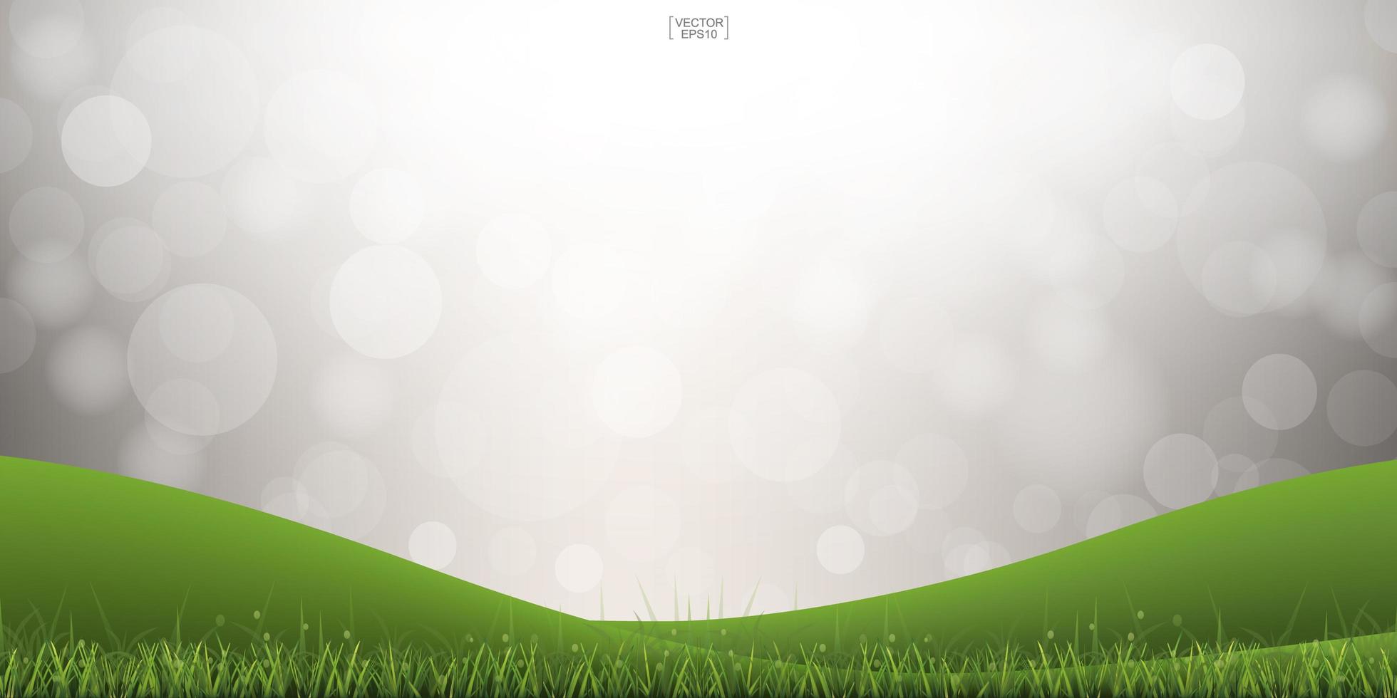 Green grass hill with light blurred bokeh vector