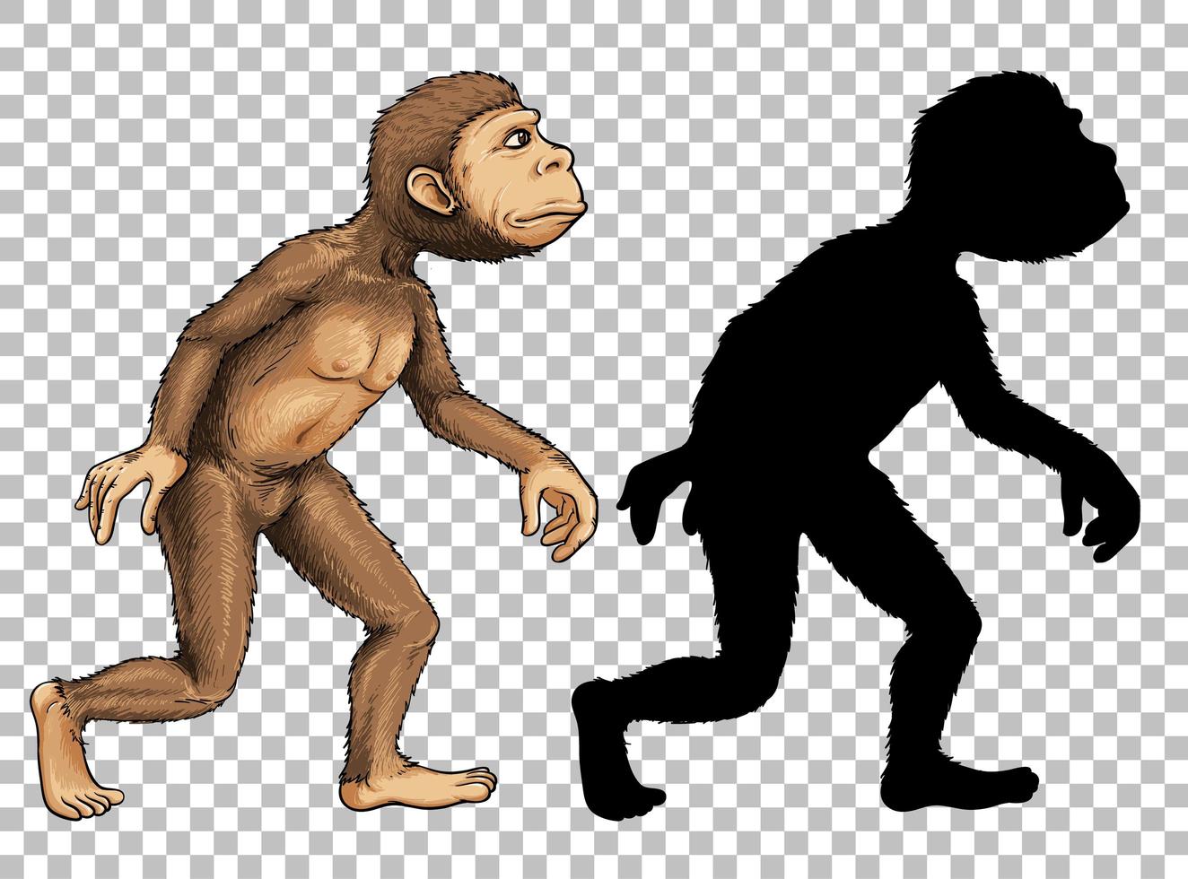 Set of ape and silhouette vector