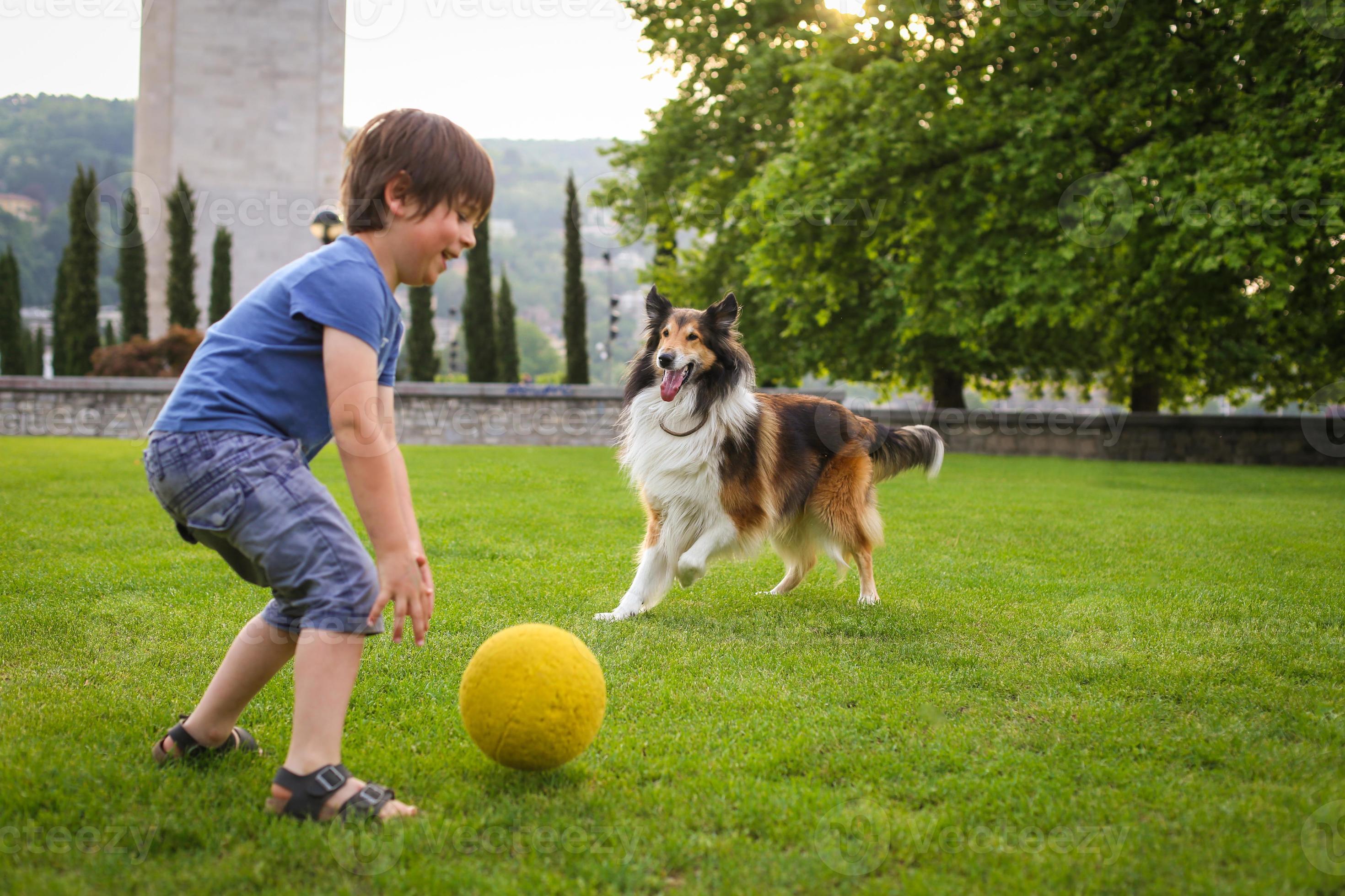 Young boy playing with a dog in the park 1352138 Stock Photo at Vecteezy