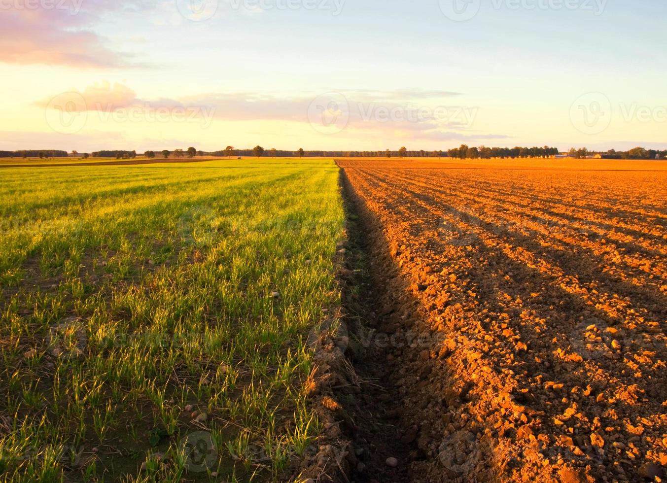 paisaje de campo arado bajo un cielo azul foto