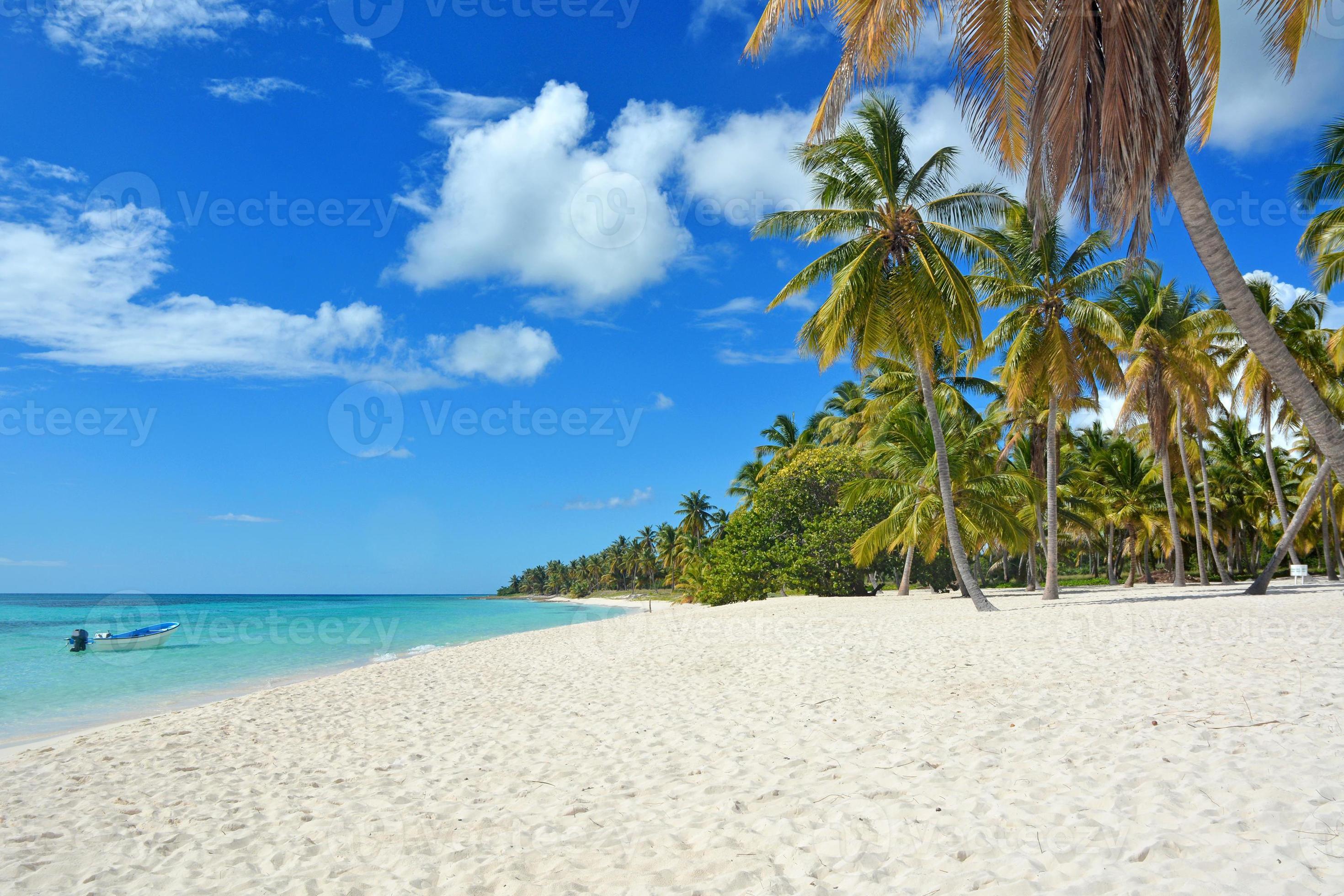 Tropical Beach Background Stock Photo Tropical Beach Background Stock Photo