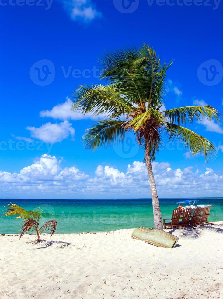 playa caribeña en república dominicana foto