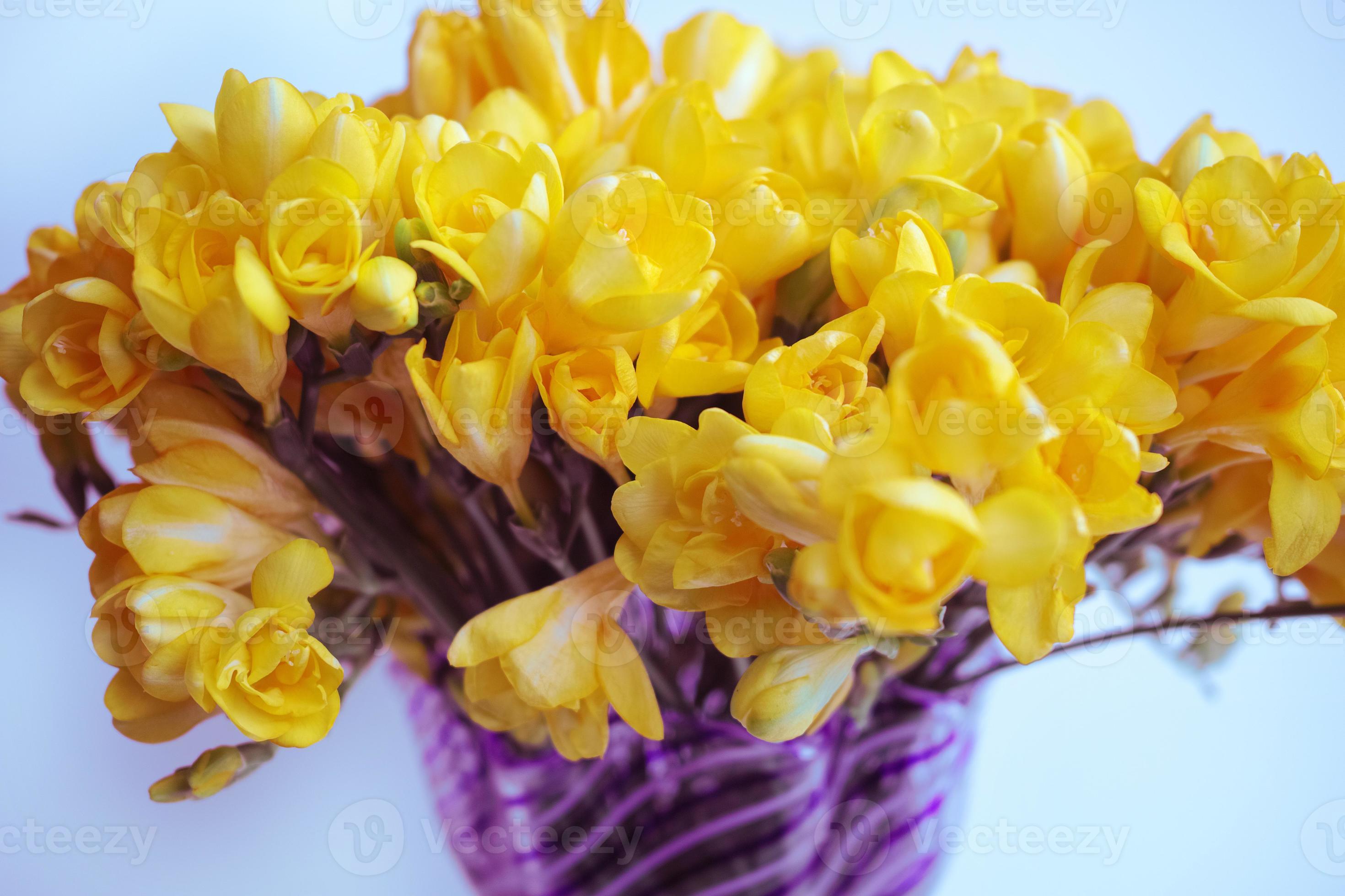 Yellow Flowers Blur Blue Background And Purple Vase Stock Photo Yellow Flowers Blur Blue Background And Purple Vase Stock Photo