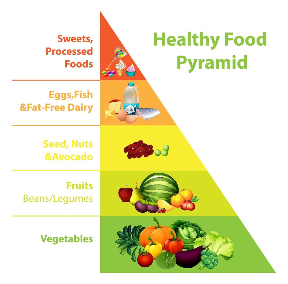 Gráfico de la pirámide de alimentos saludables sobre fondo blanco. vector