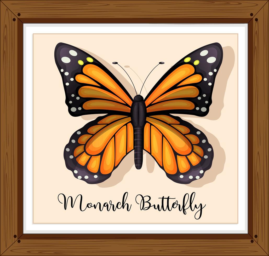 Monarch butterfly on wooden frame vector