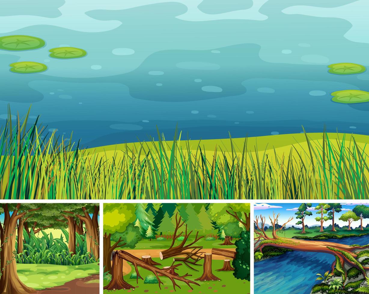 Four different nature scenes of forest and swamp  vector