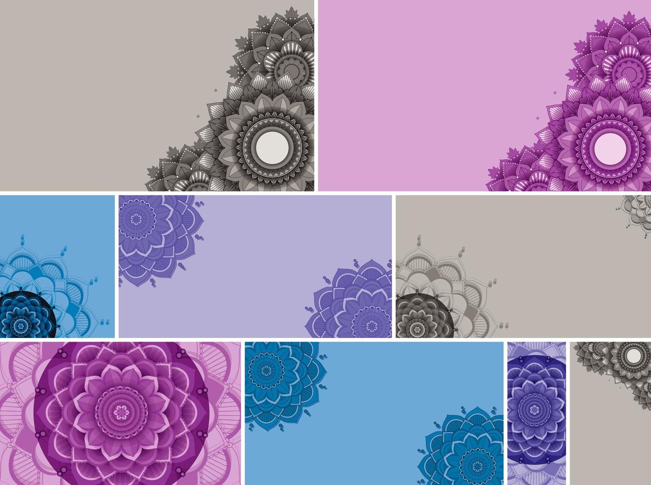 Beautiful colour mandala background set vector