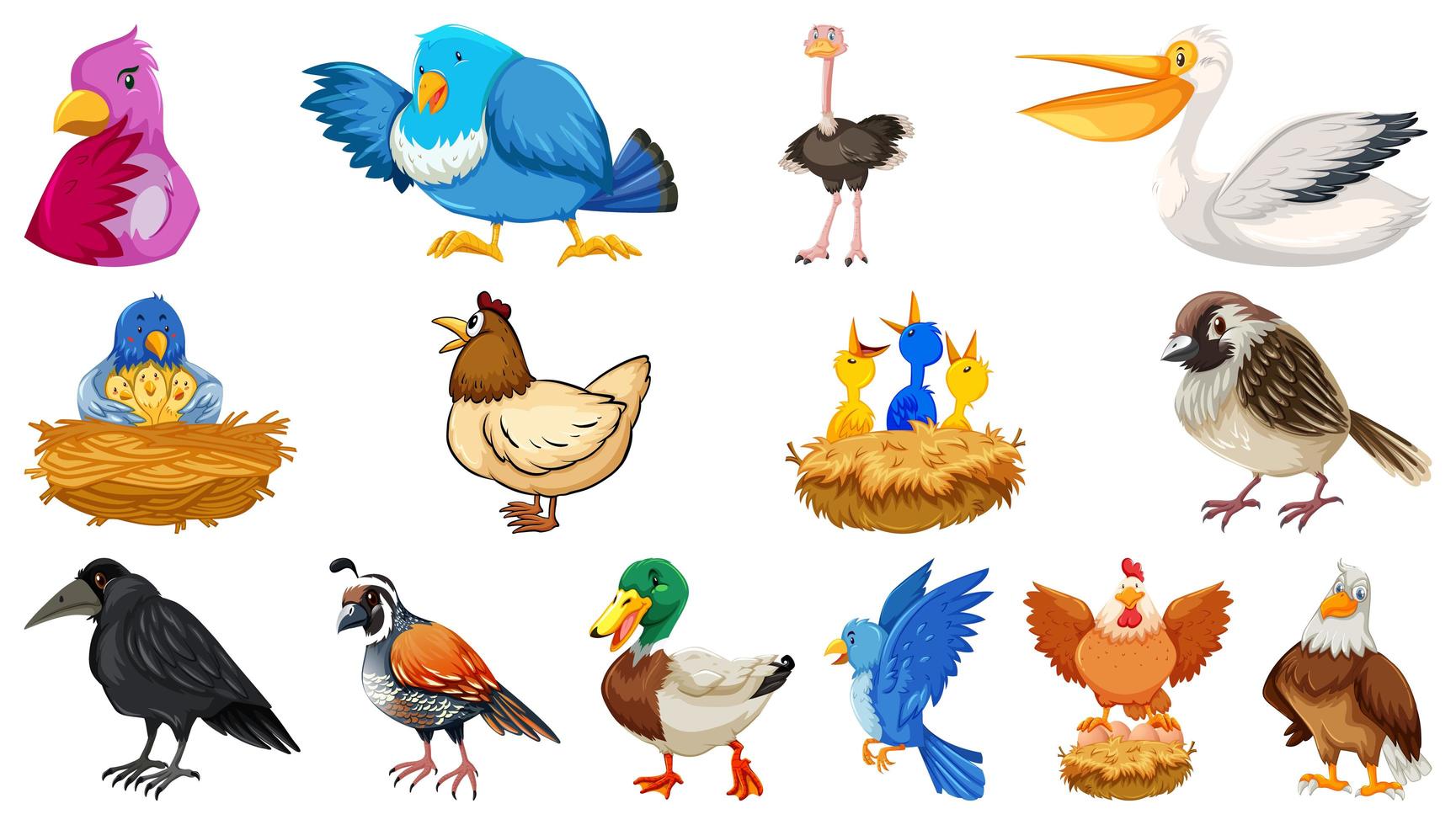 conjunto de diferentes aves estilo de dibujos animados aislado vector