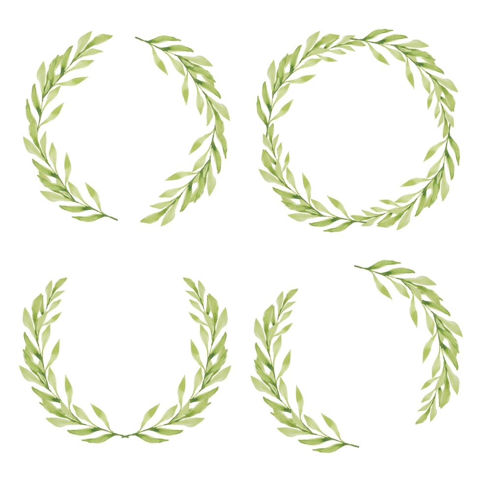 Watercolor green leaf circle frame collection vector