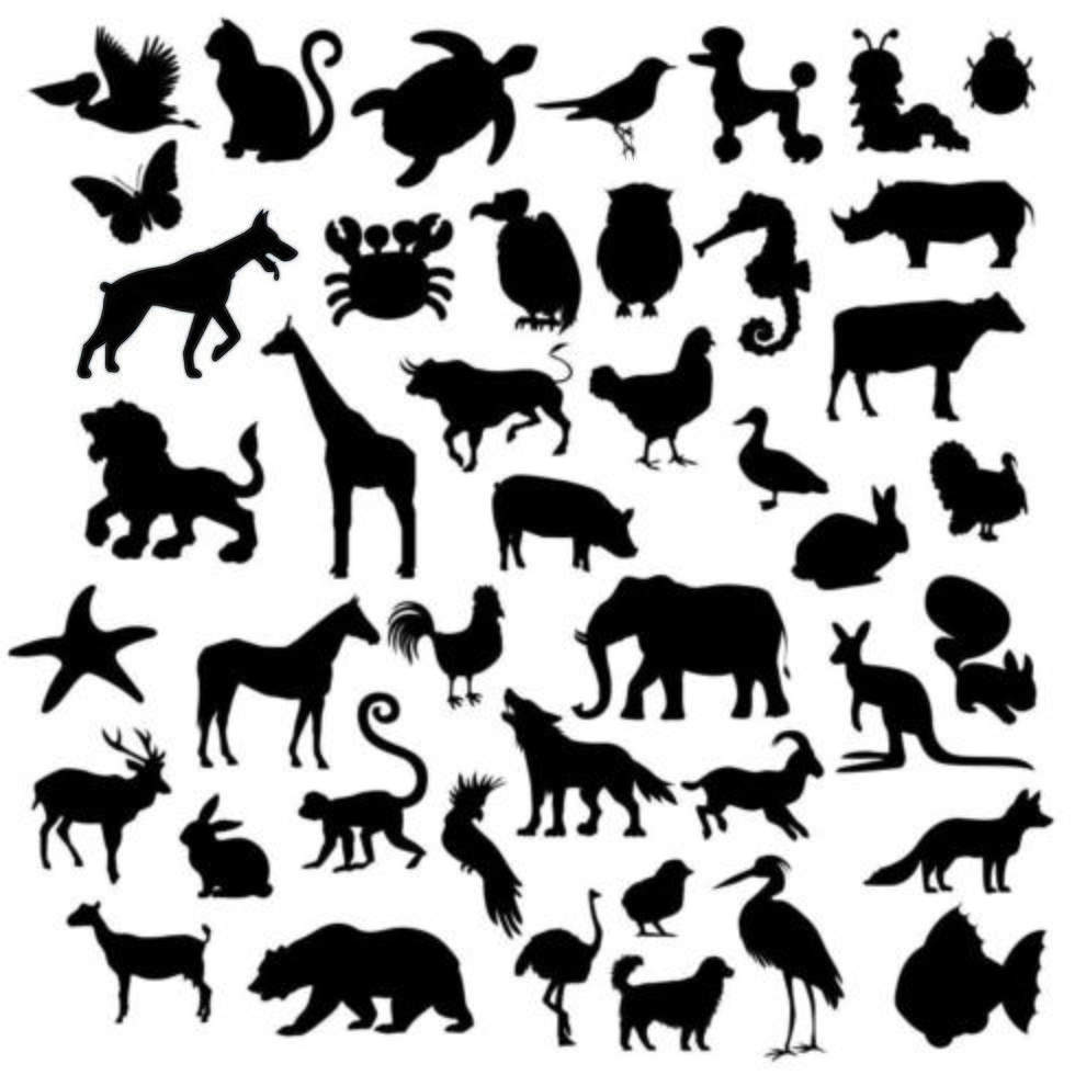 un conjunto de silueta de animales vector