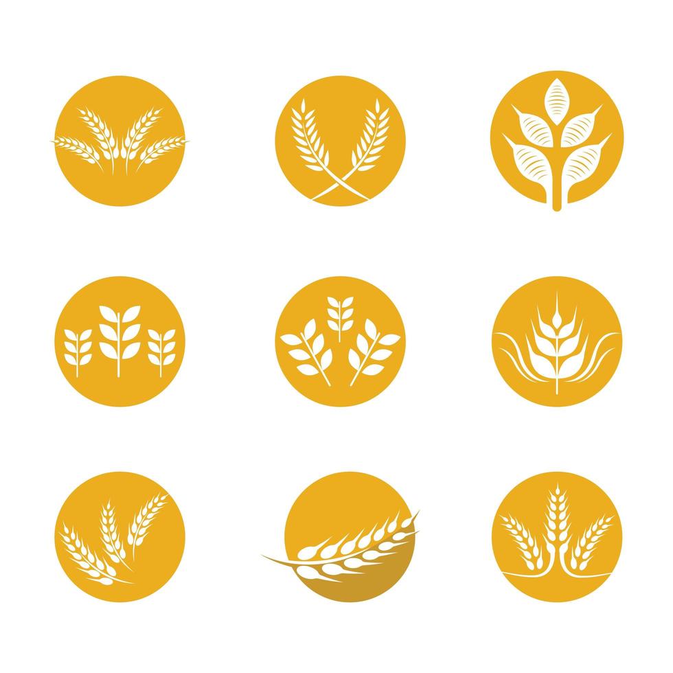Wheat icon set vector