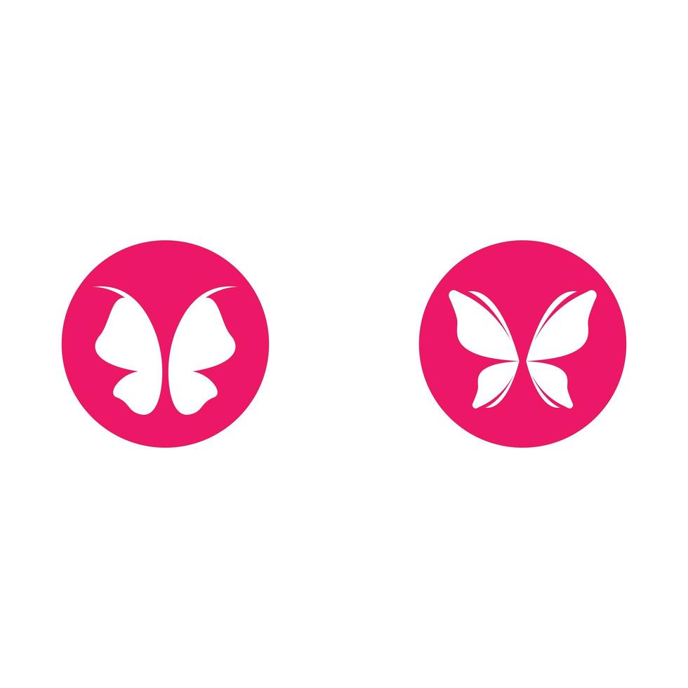 Beauty butterfly set vector
