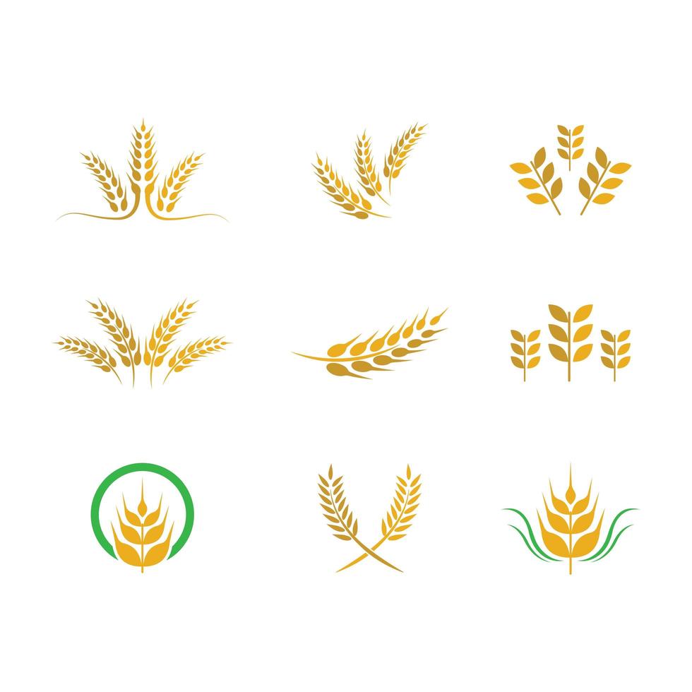 Wheat icon set of nine vector