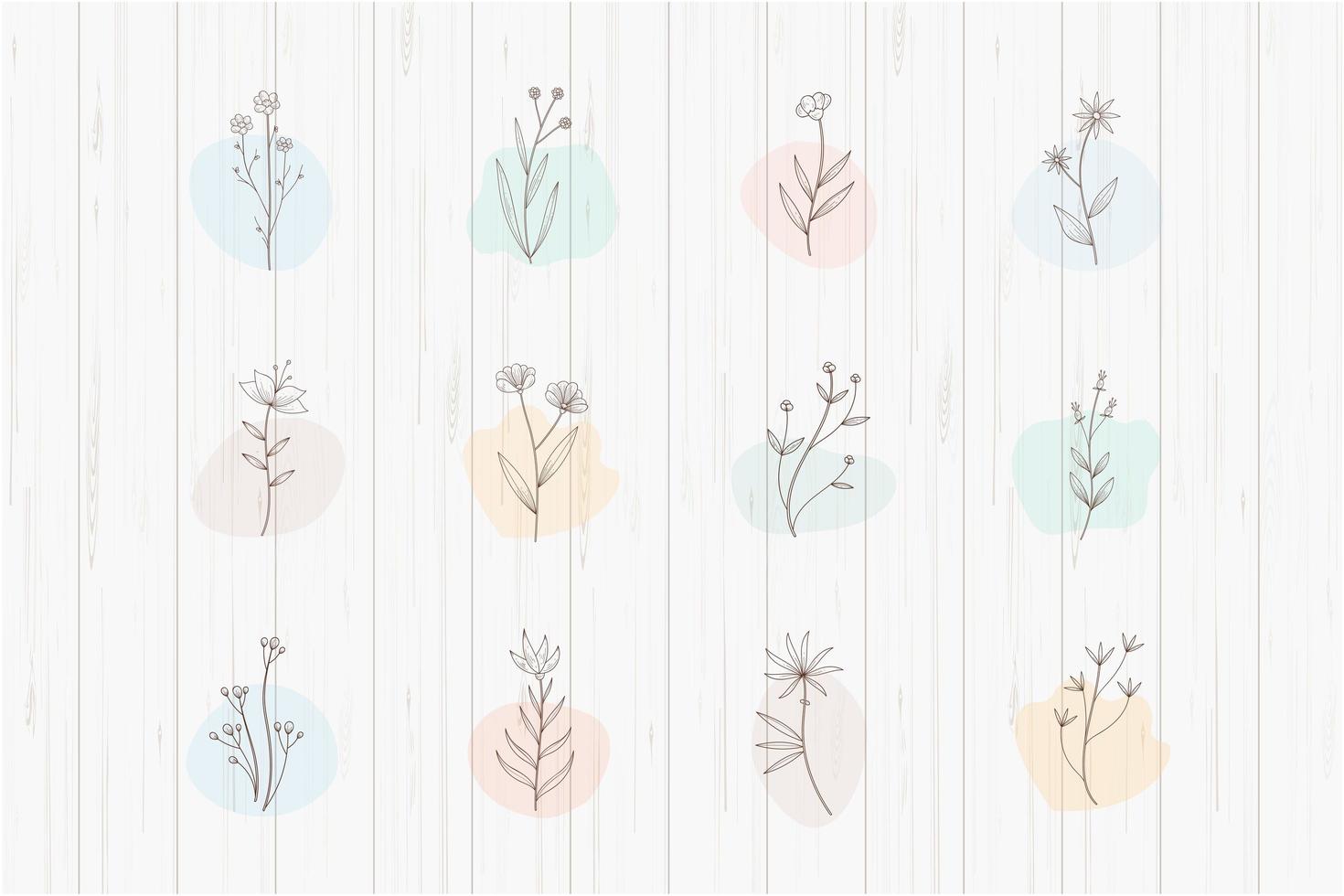 Botanical Plants with Highlights Set vector