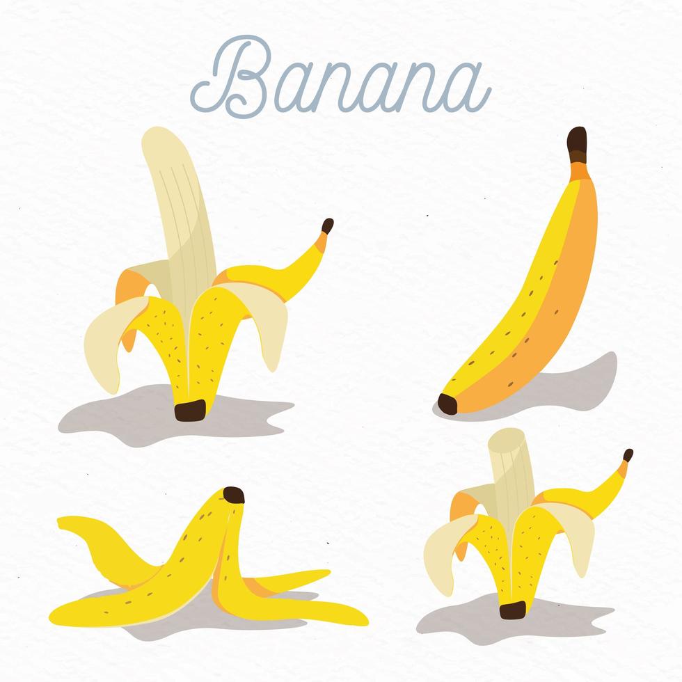 Flat-design banana fruit set vector
