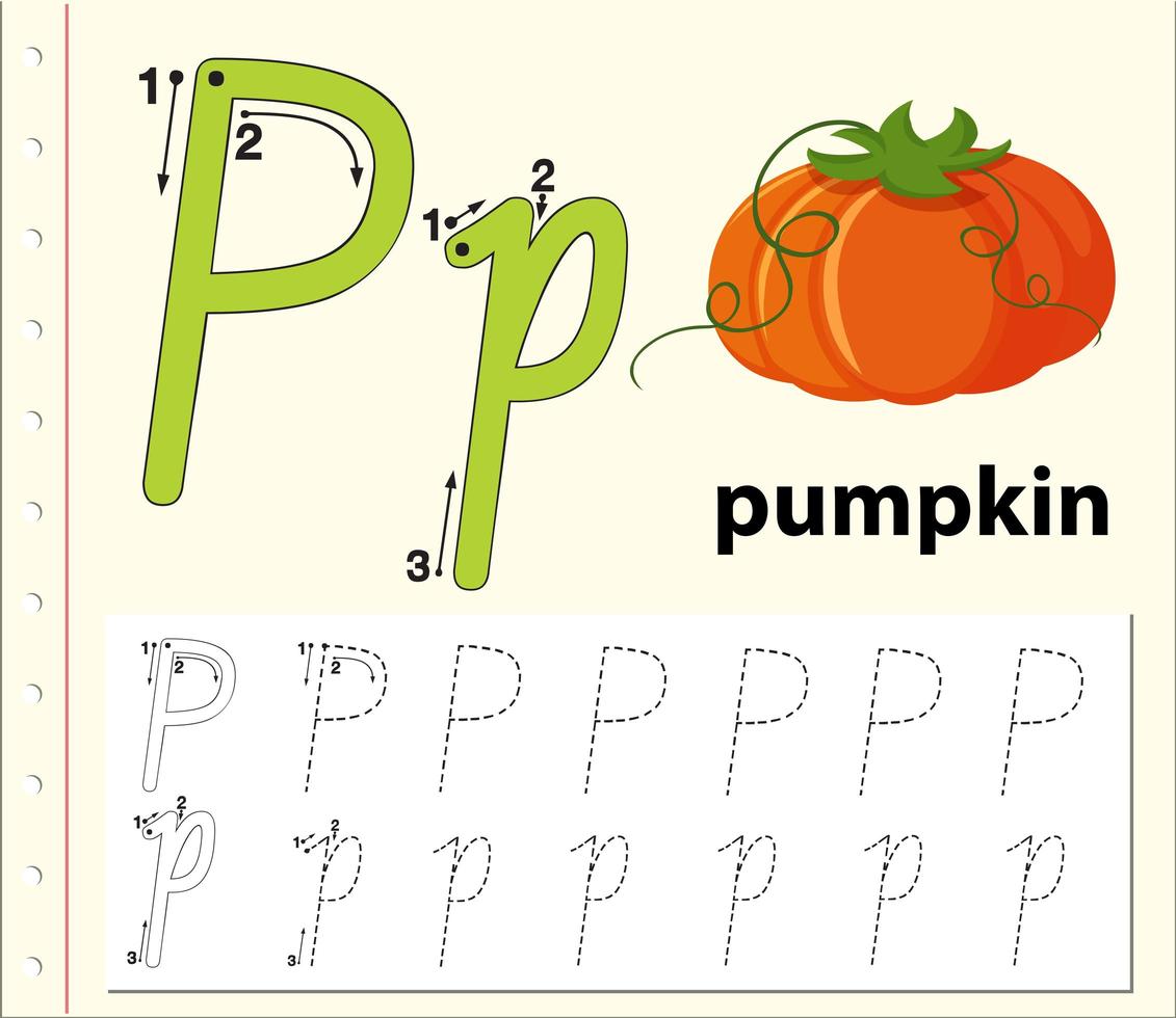 Letter P tracing alphabet worksheet with pumpkin  vector