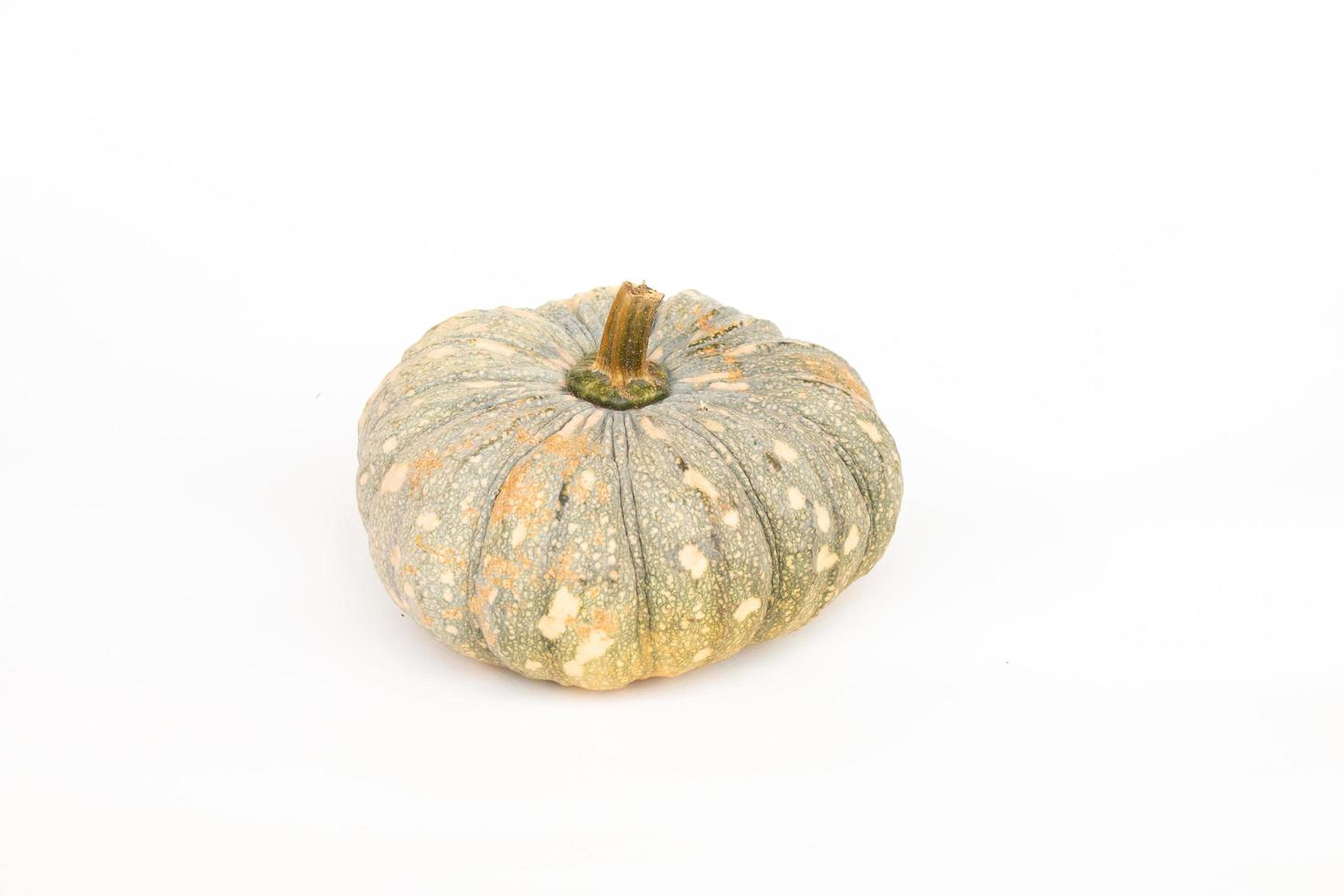 Pumpkin on white paper background photo