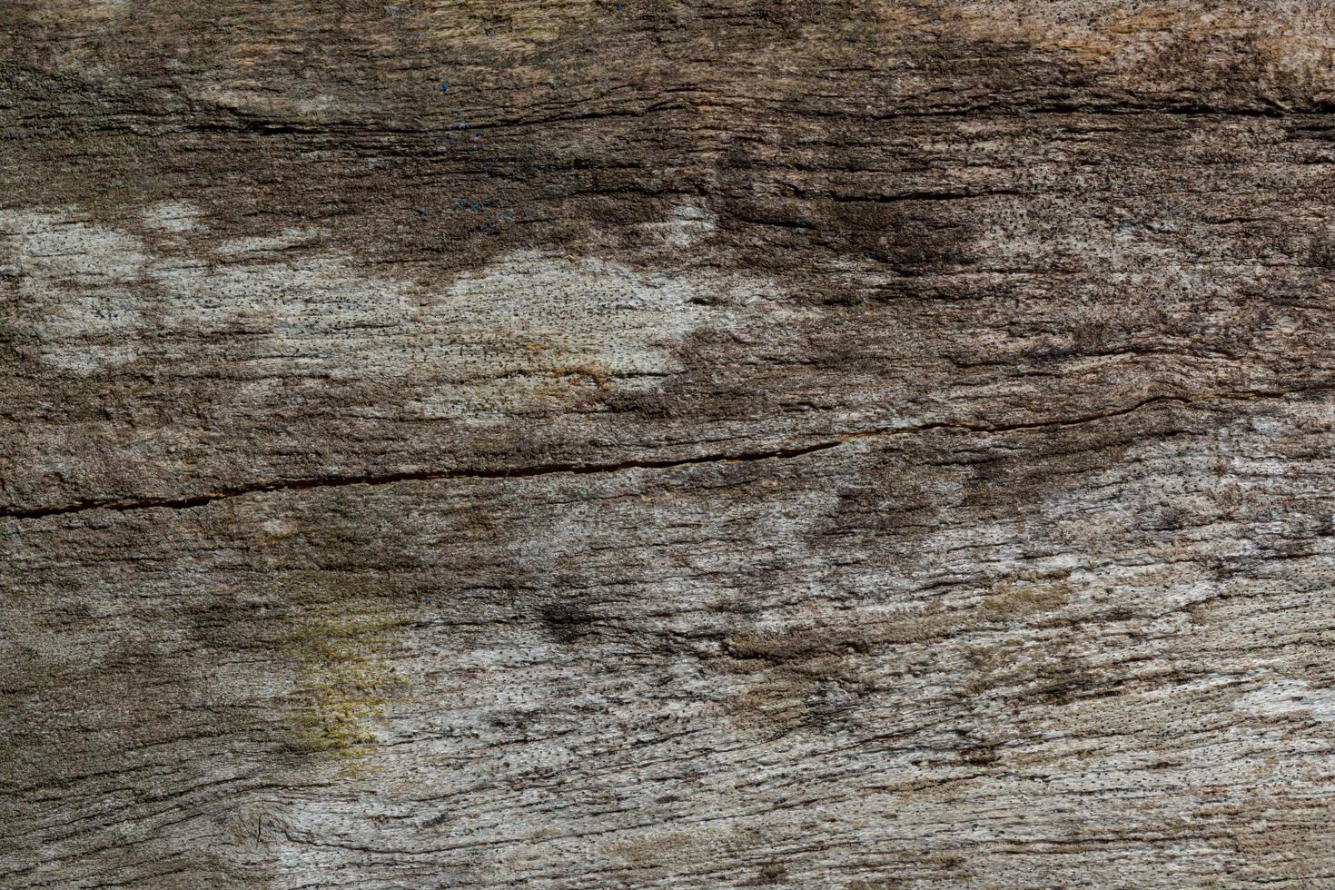 Old wood pattern texture photo