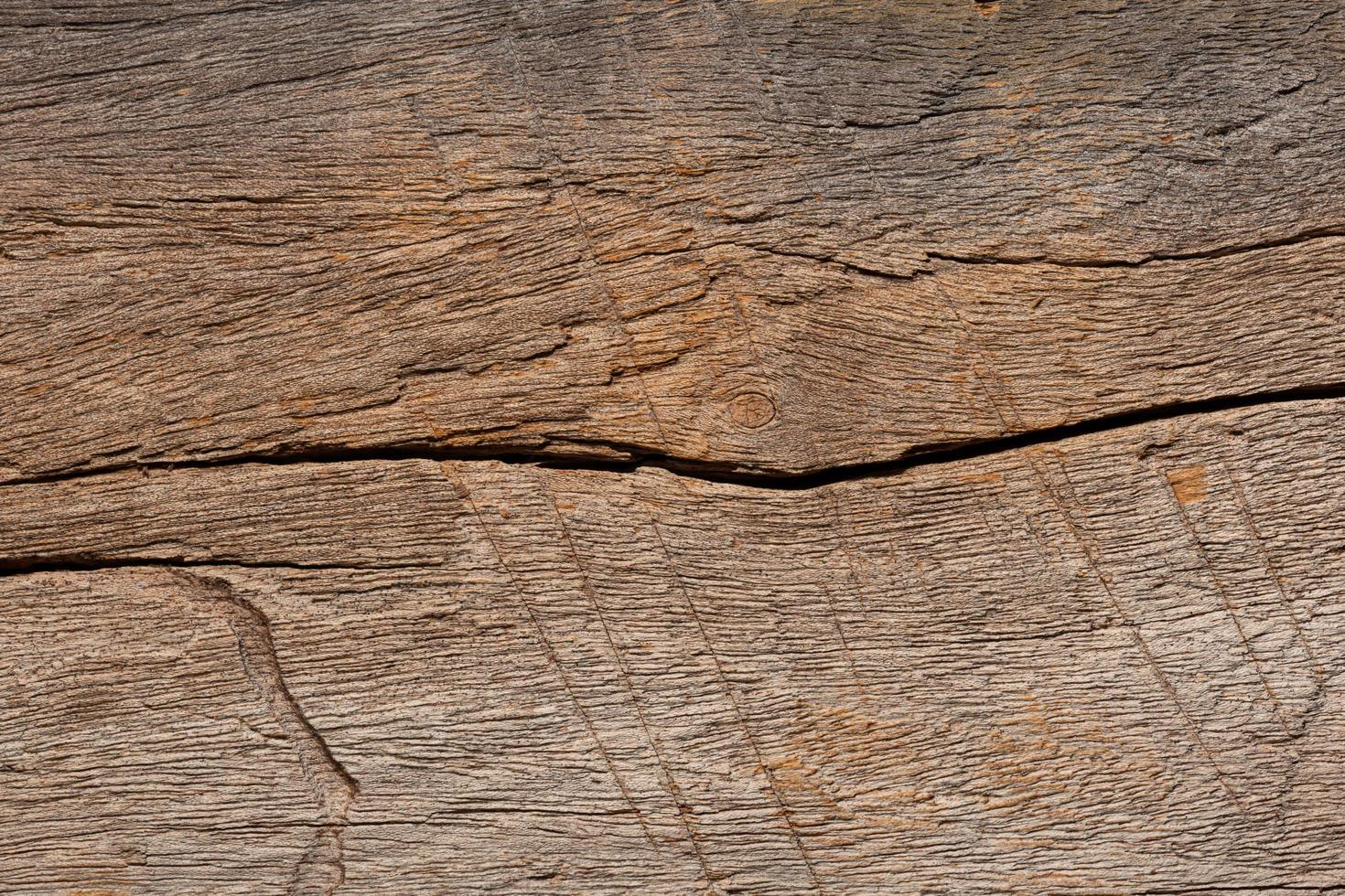 textura de madera vieja foto