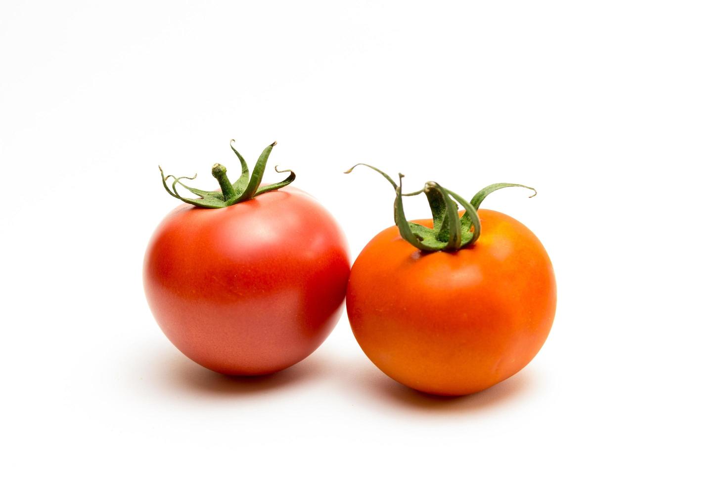 Red tomatoes on white background photo