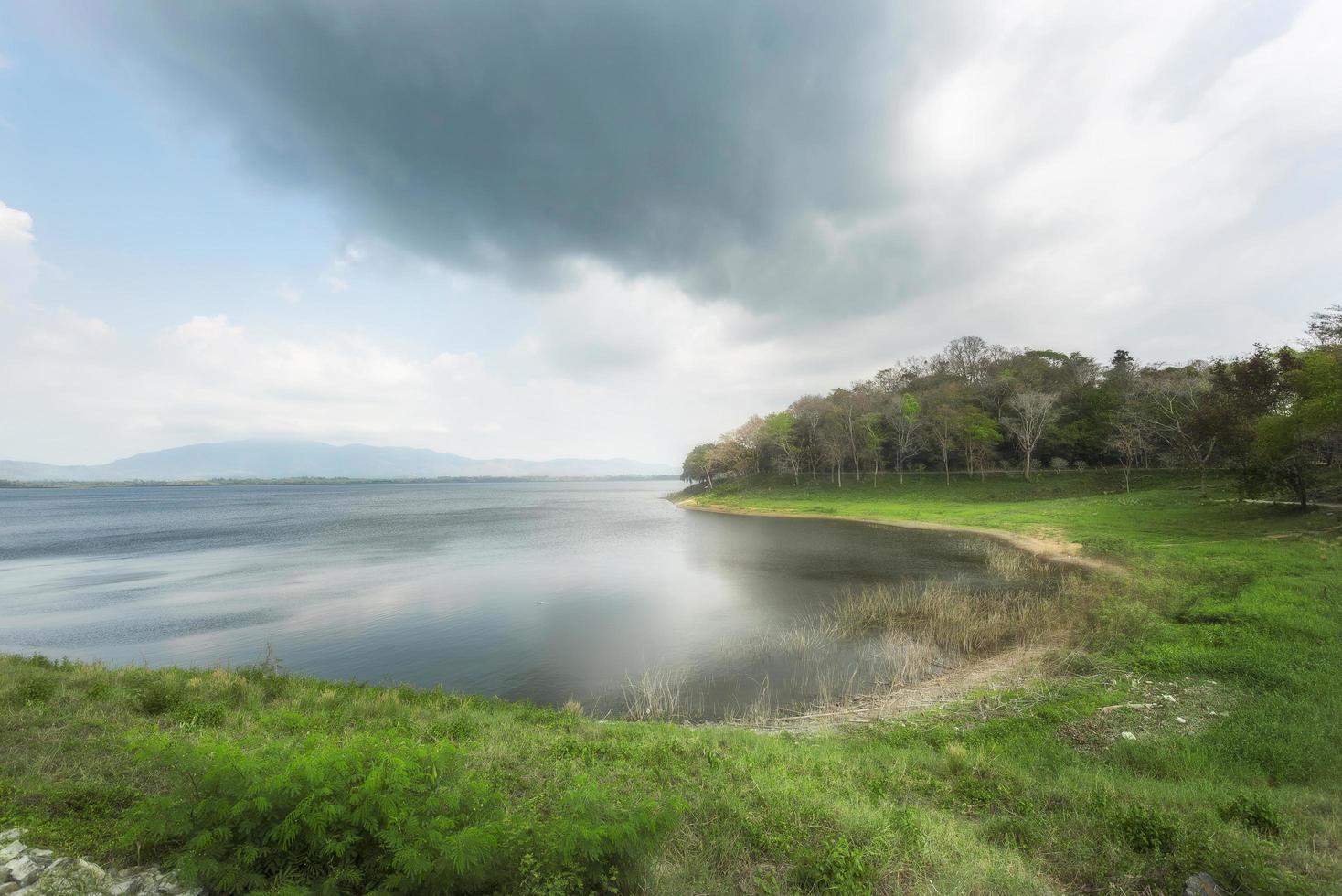 Green grass near a lake photo