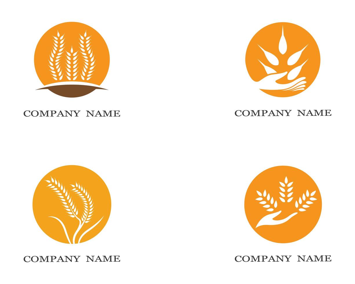 Wheat circle symbol set vector