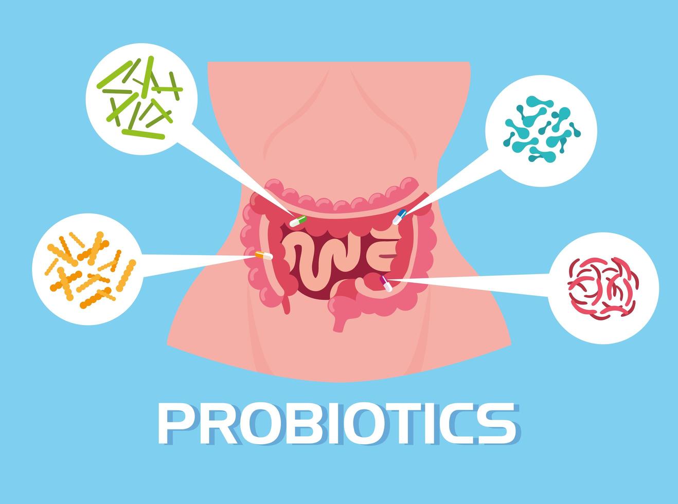 cuerpo de mujer con organismos probióticos vector