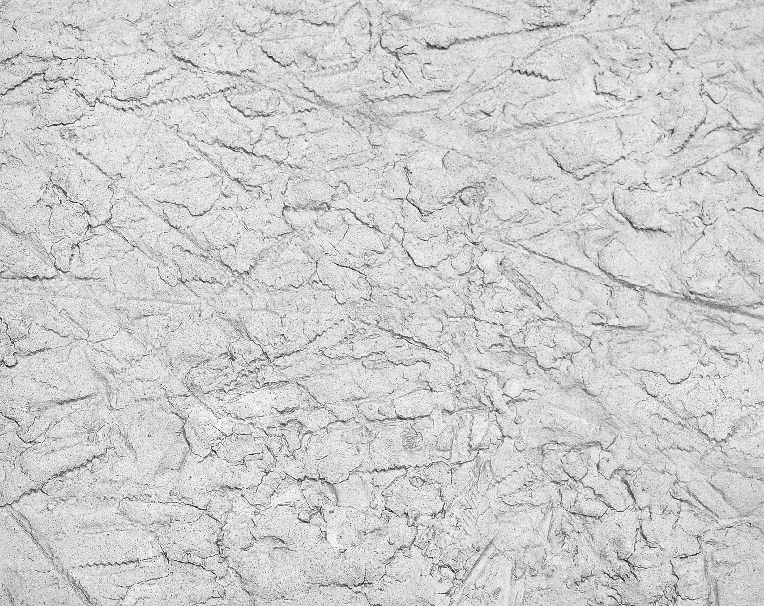 Concrete texture. 1365170 Stock Photo at Vecteezy