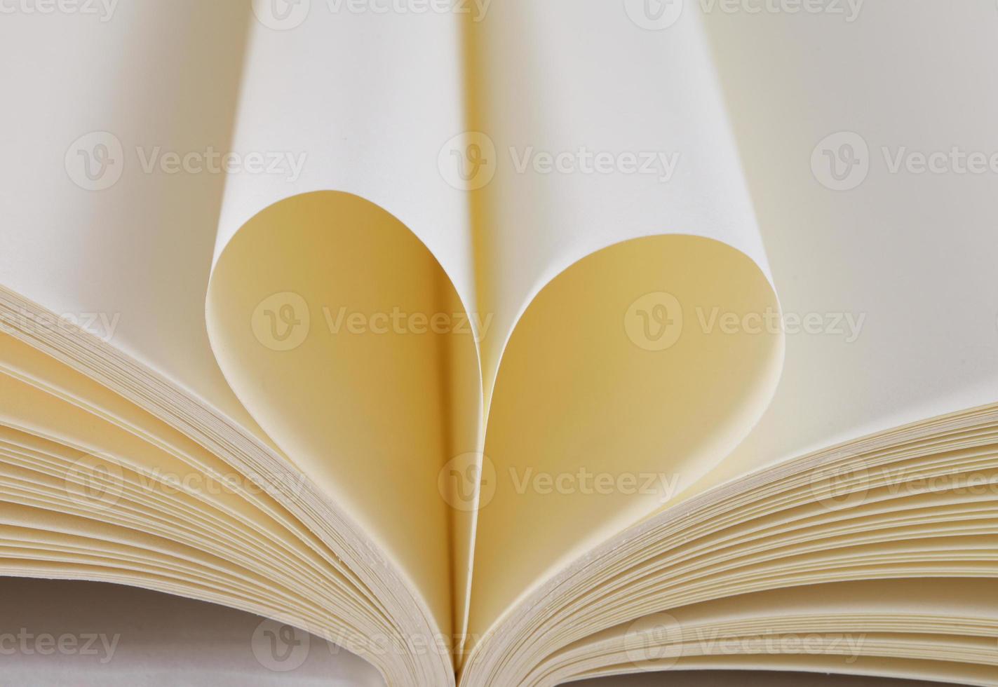 heart from a book page photo