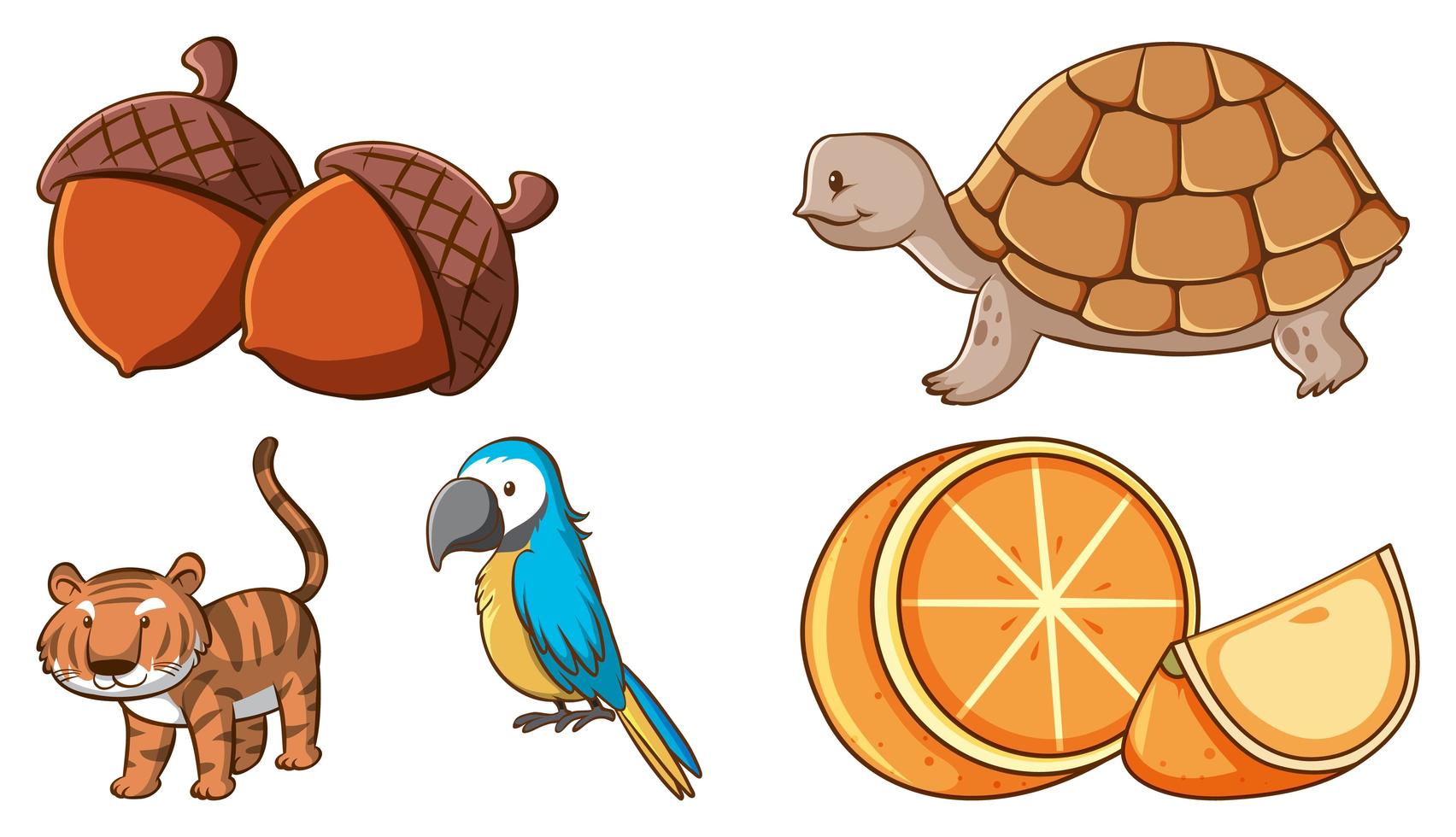 conjunto de diferentes animales y alimentos. vector