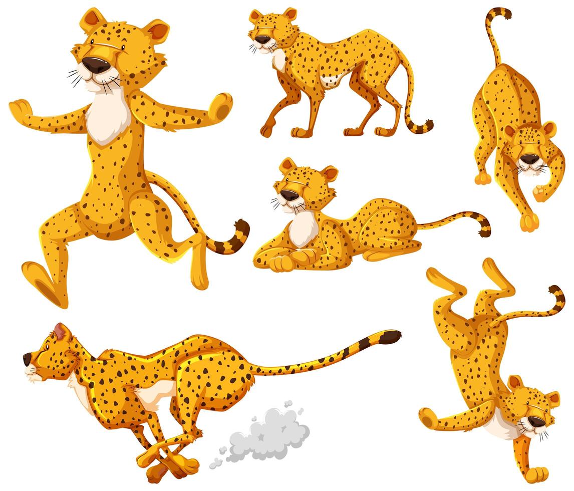Cheetah cartoon character set vector