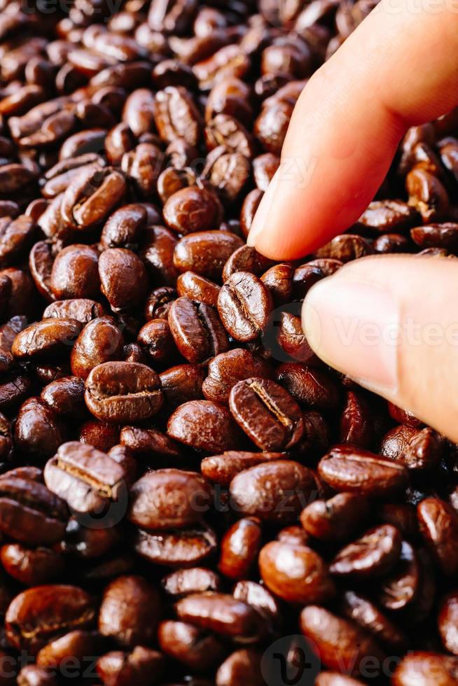 coffee bean texture photo