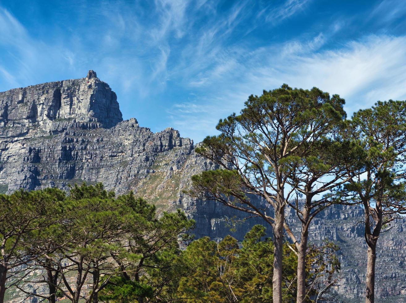 montaña de la mesa en ciudad del cabo foto