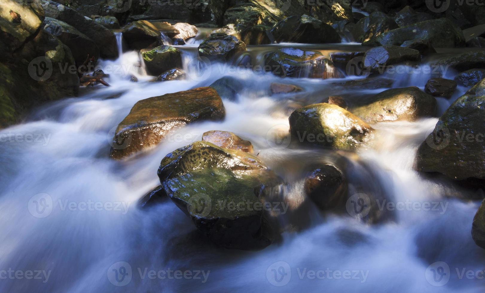Refreshing view of a stream in the tropics photo