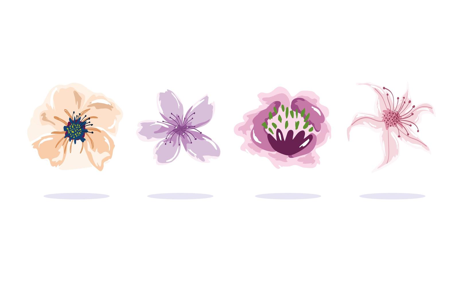 Delicate flowers decoration set vector