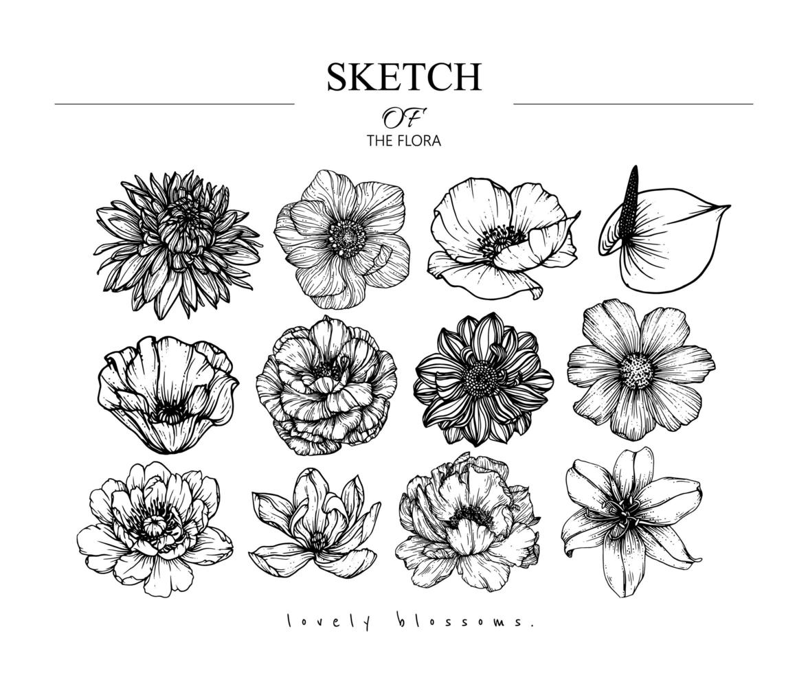 Variety of hand drawn flower drawings vector