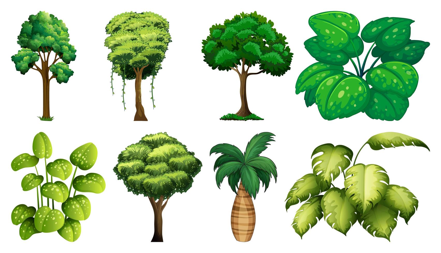 Set of plants and trees 1372883 Vector Art at Vecteezy