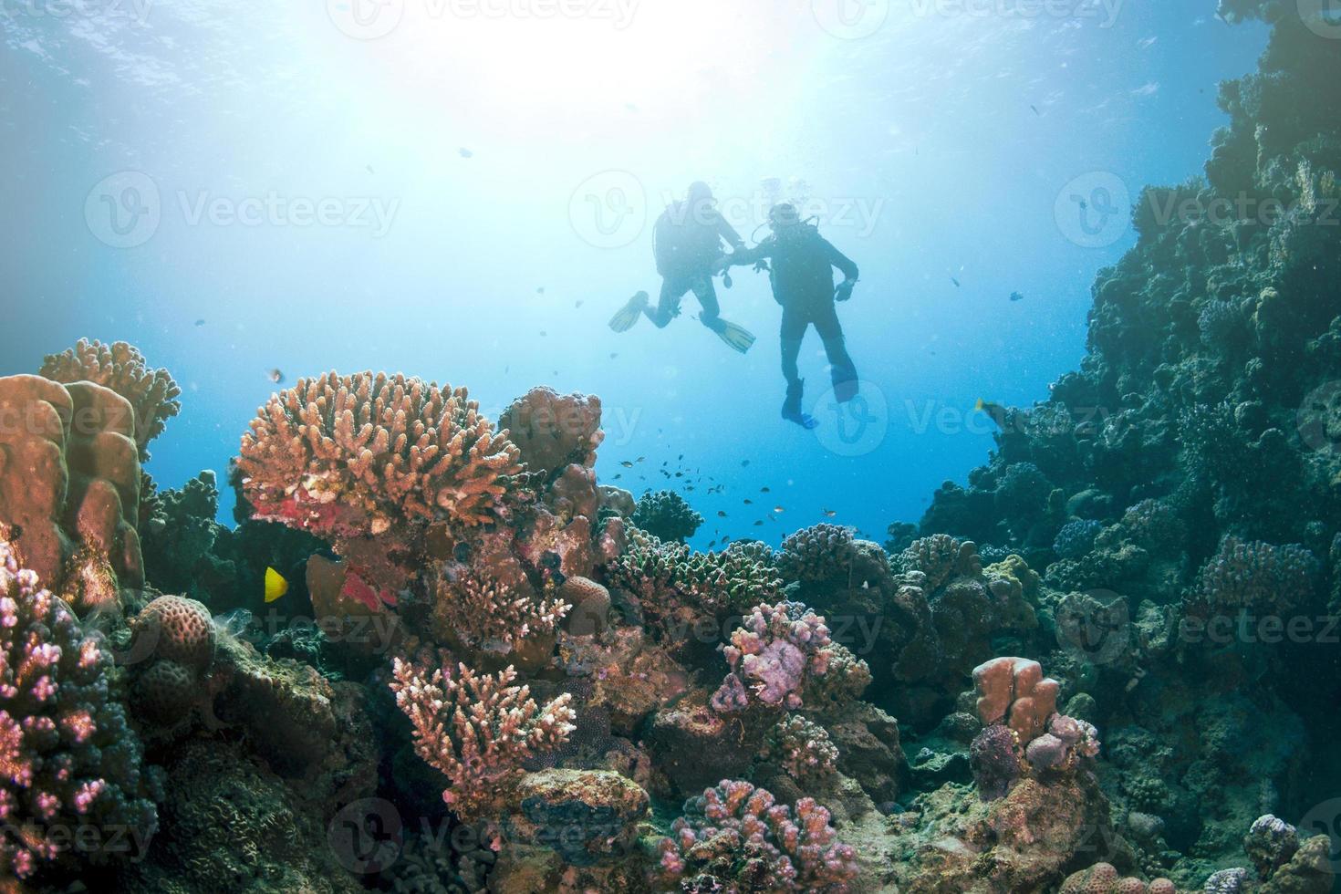 Old School Scuba Diving 1375162 Stock Photo at Vecteezy