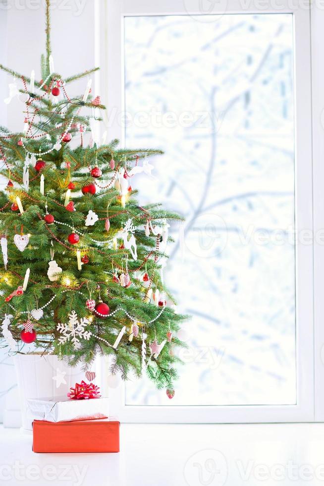 Christmas tree at a window photo