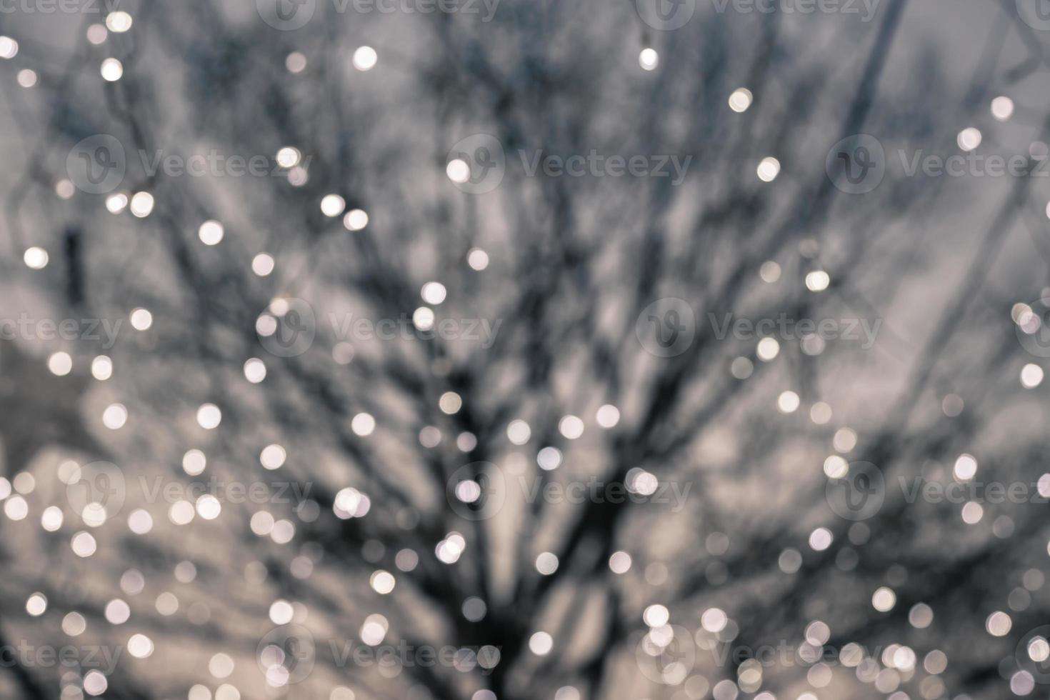 Blurred bokeh lights with deciduous tree on background photo