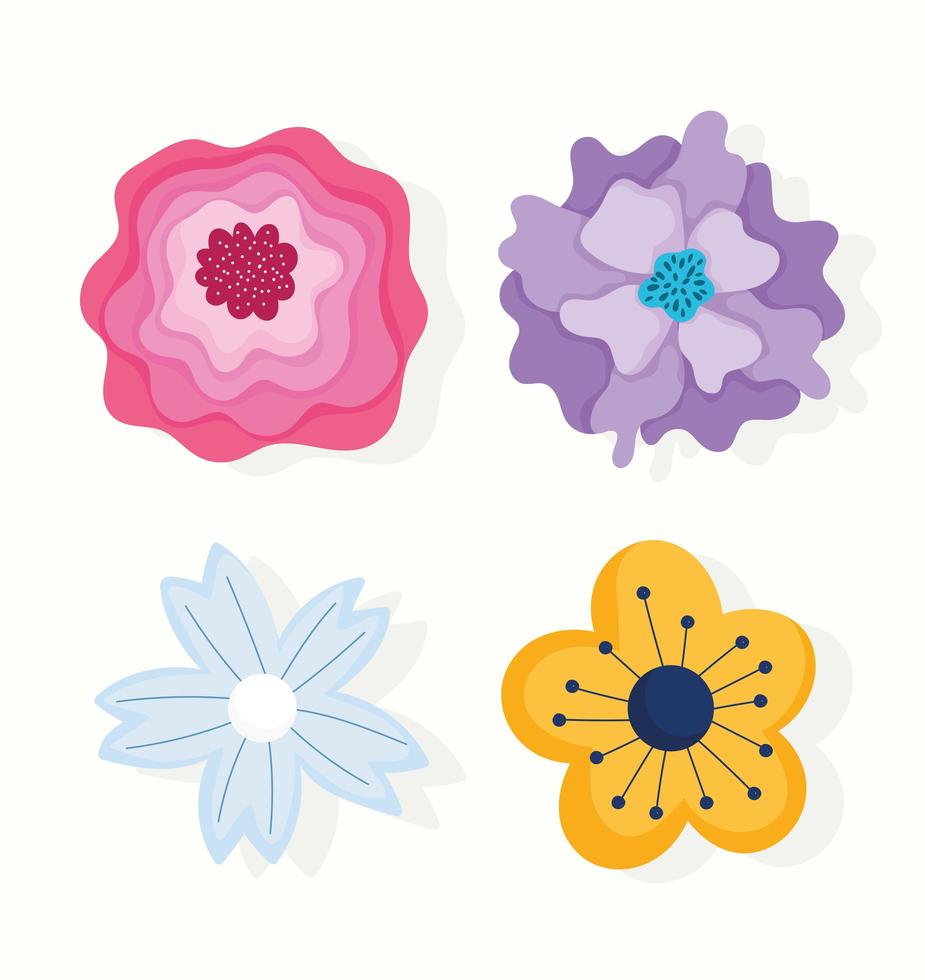 diferentes flores y pétalos adornan iconos vector