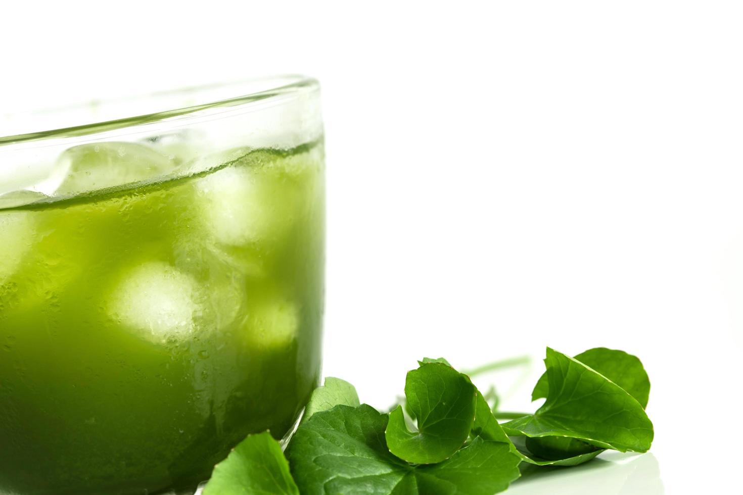 Fresh green Gotu kola photo