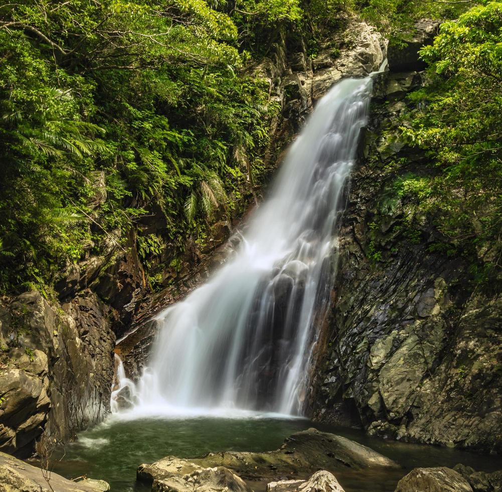 otoño de hijio en okinawa foto