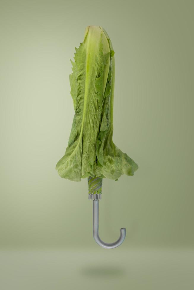 Green vegetable umbrella  photo