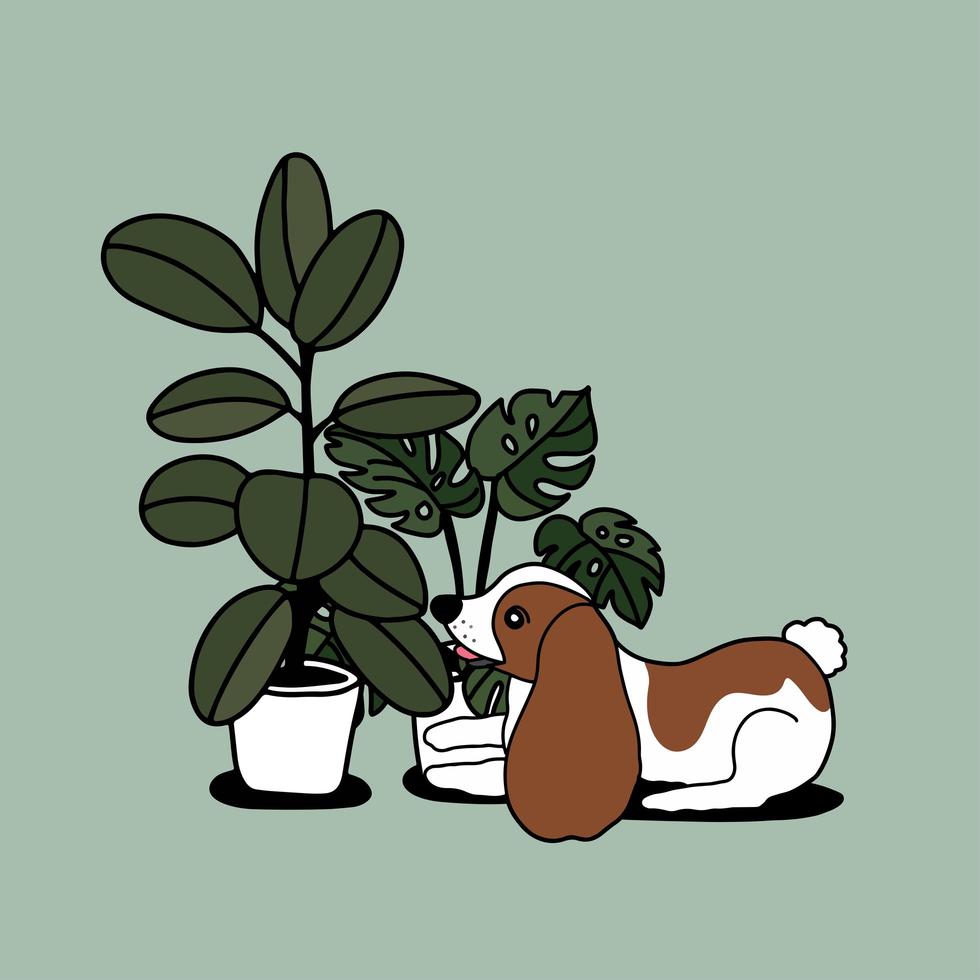 plantas de la casa dibujadas a mano y lindo perro vector