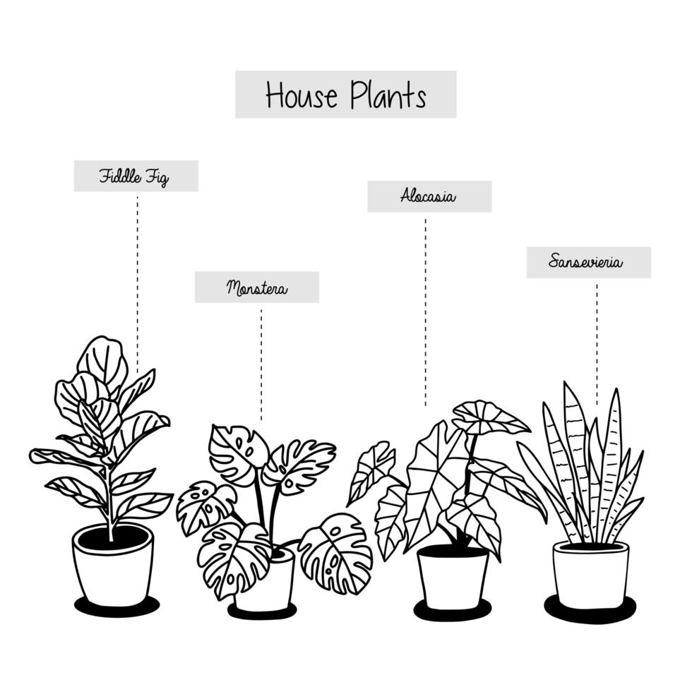 plantas de casa tropical dibujadas a mano en macetas vector