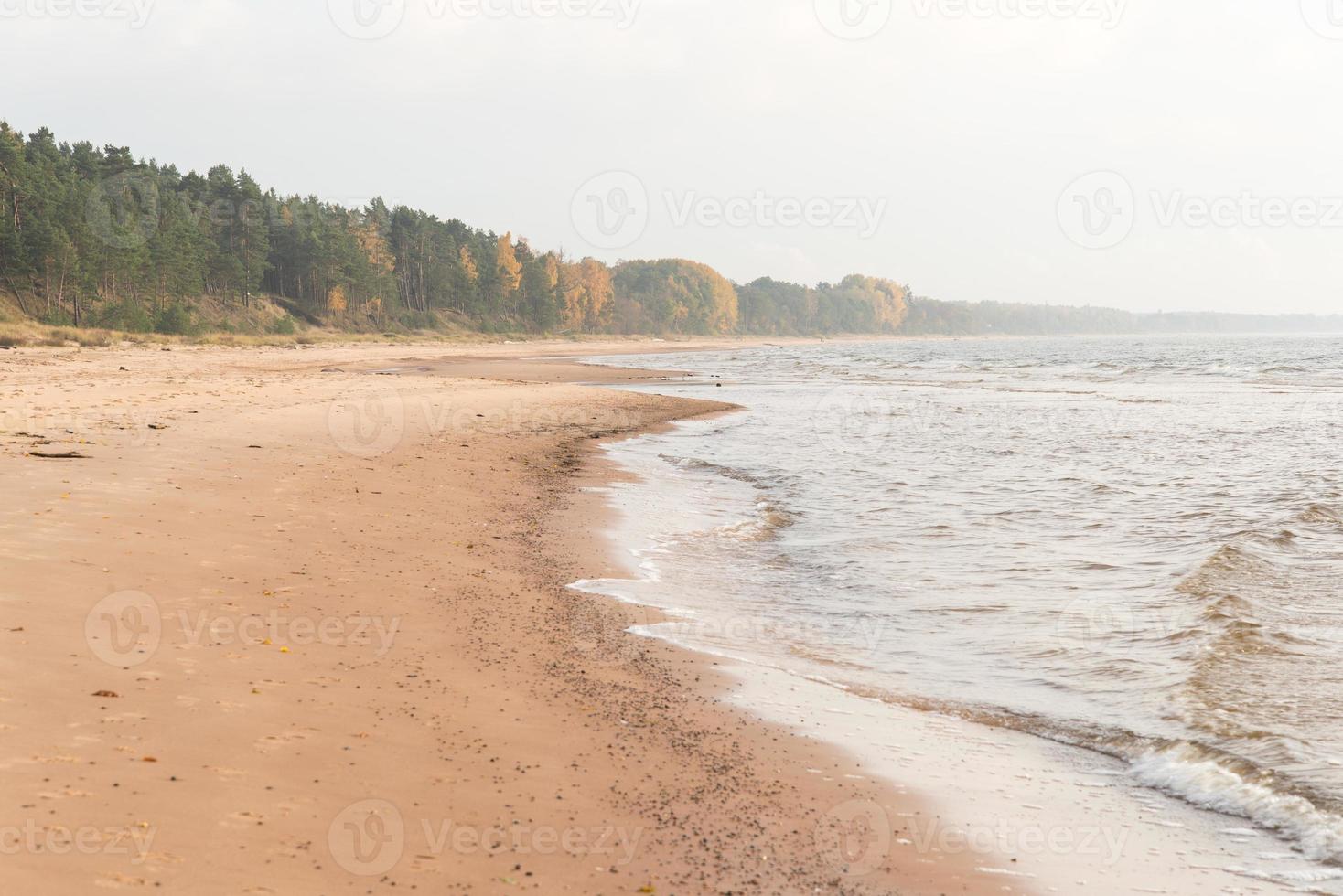 Costa de la playa del mar Báltico con rocas y dunas de arena foto