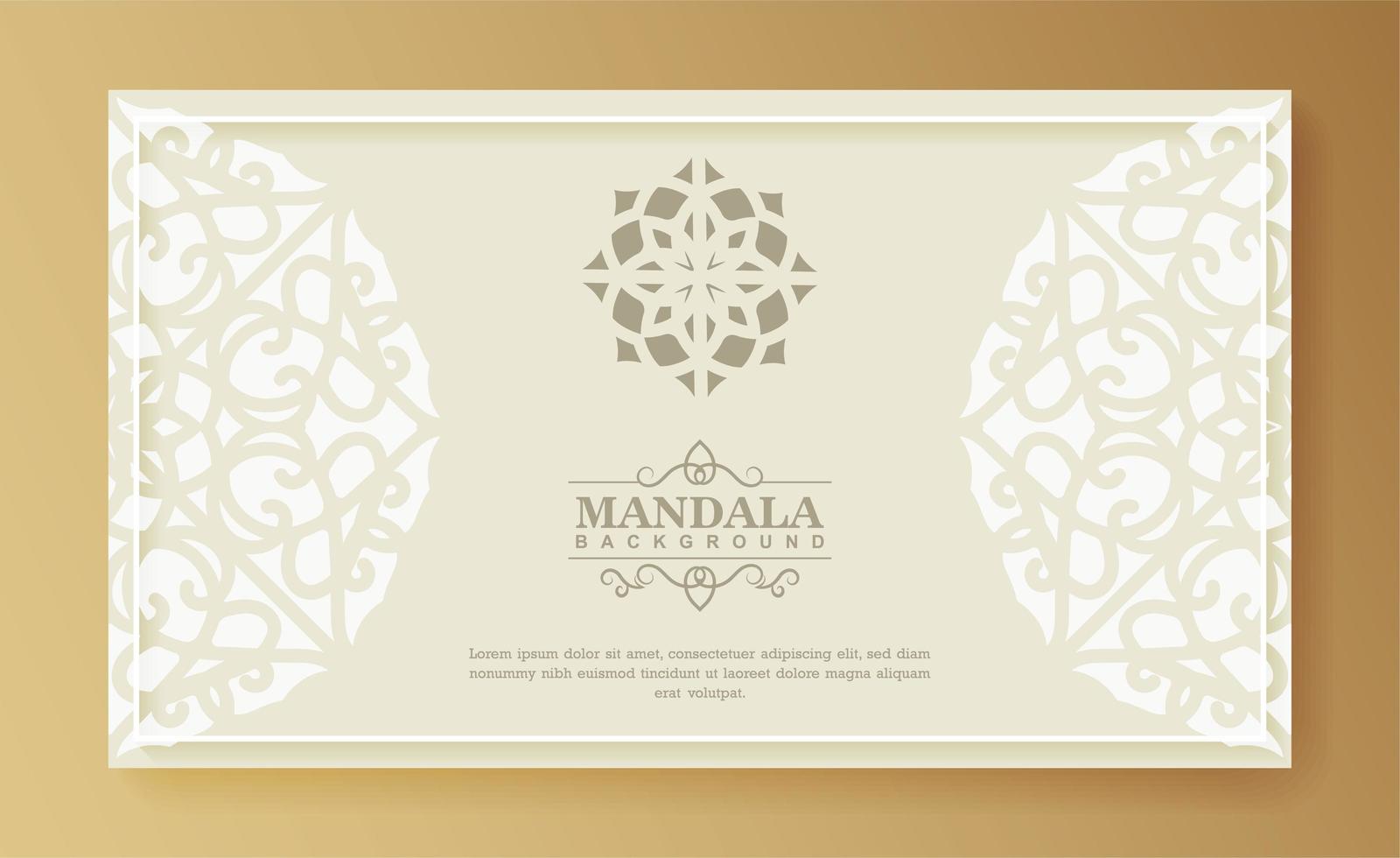 White mandala background  vector